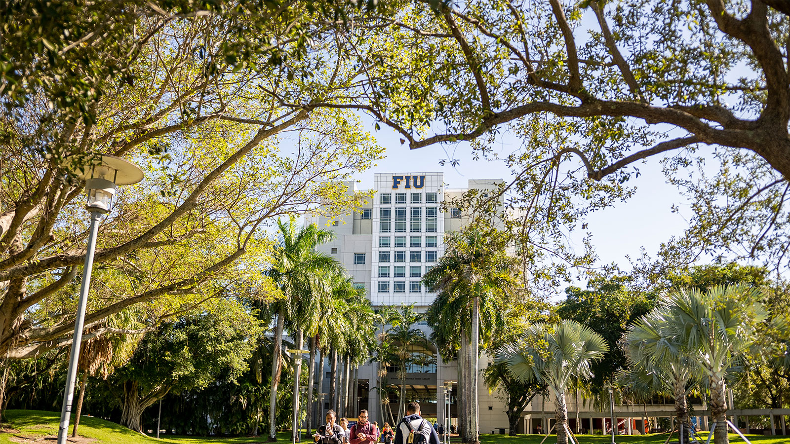 Fonts | FIU Brand Style Guide